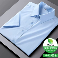 Синий, короткий рукав