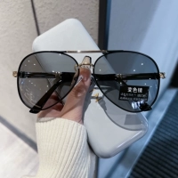 Золотая черная рама изменение цвета серого