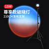 Highlight highlight highlights of the exclusive dawn lamp [210cm telescopic bracket]