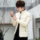 Зимняя мужская куртка, короткий демисезонный трендовый пуховик, 2019, в корейском стиле