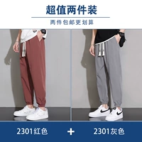 2301 красный + 2301 серый