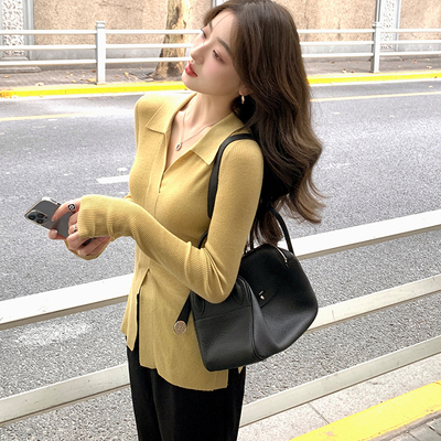 taobao agent Woolen knitted winter sweater, fitted brace, long-sleeve, polo collar