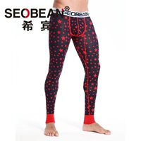 30405 красная звезда Пентагона