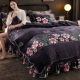 Mùa đông sữa san hô nhung bốn mảnh ấm pha lê flannel ga trải giường 1,8m giường hai mặt flannel quilt cover - Bộ đồ giường bốn mảnh