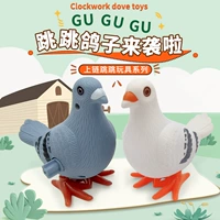 Часовой голубь случайно