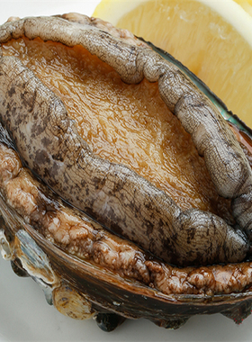 爱逛街为您找到野生鲍鱼相关的宝贝,您可以在下面的板块中挑选喜欢的