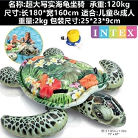 Цветочная реалистичная морская черепаха Взрослые весят 2 кг