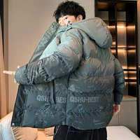 672 Бин Ясень