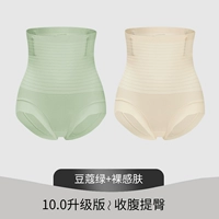 Cardamom Green Отправляя обнаженную кожу [10.0 модернизированное брюшное животное издания]