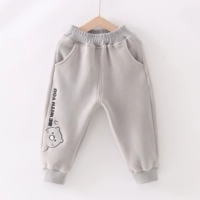 【Свето -серой】 персиковый медведь