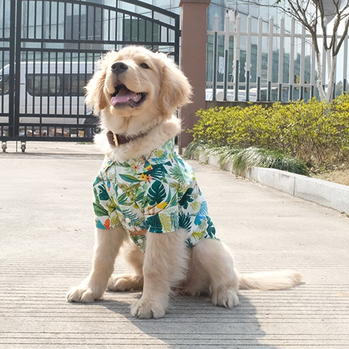 Большая собачья одежда в летних тонких золотых волосах Sammeerlabrador Summer Breathable Dog Большое собака летнее платье