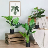 Симуляция скандинавского растения Творческая гостиная в помещении декоративные цветочные декоративные гостиные фальшивые зеленые посадки