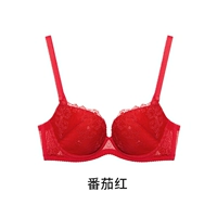 Помидор красный