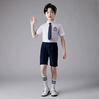 Хлопковая рубашка для мальчиков, шорты, галстук, значок, носки