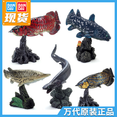 taobao agent Bandai Gaung Biotech Map Jianjian ancient fish Asian arowana blessing crocodile wrinkle shark marine biological ornaments