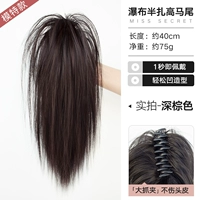 Прямые волосы плюс количество [темно -коричневый] водопад с высоким хвостиком