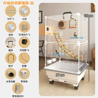 Набор для брызгопродажа 5 [ящик для размножения + гнездо травы и другие 11 штук набор]