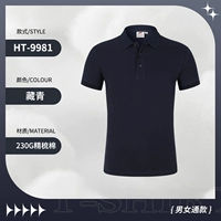 HT-9981 Тибетский Цин