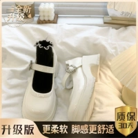 БЕЙГЕР ПОВЕДЕНИЯ ВЕРСОВАНИЯ Следите за страхованием грузовых перевозок в магазине