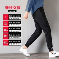 【Весна и осенний период】 B2104