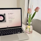 Тюльпан симуляция благовоний цветочное искусство спальня дом дом -Расставленный эфирное масло туалет Qingxiang Air Fresh Agent Advanced