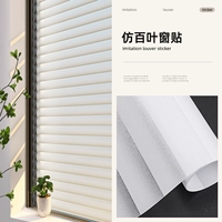 Извлечение окна электроэнергии моделей Blossom [99%сходство]