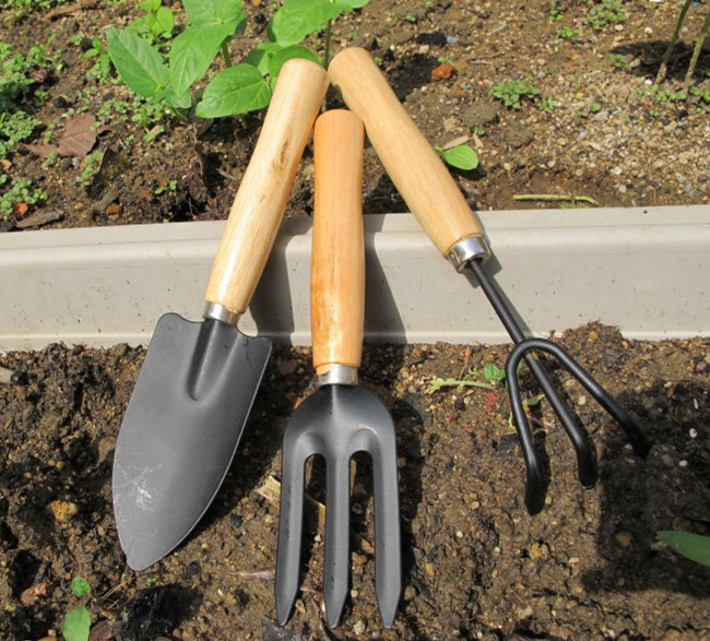 三件套 铲子耙移植工具 园艺用品 家用盆栽养花种菜松土工具 Изображение 1