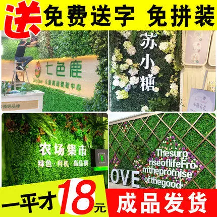 Противодействие симуляции зеленое растение стенка украсить траву с кузнечиком на стене висячи