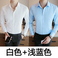 Комплект, белый синий лонгслив