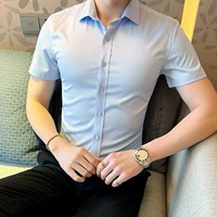 (Один кусок 49.8) Светло -голубые короткие рукава