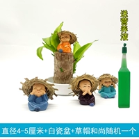 Бразильское дерево диаметром 4-5 см + белая фарфоровая раковина + соломенная шляпа-монах