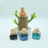 Бразильский деревянный горшок с водой, Мини -Айд -Грут Зеленый завод четыре сезона вечнозеленые древесные деревянную полосу бутона рост гидропонные растения