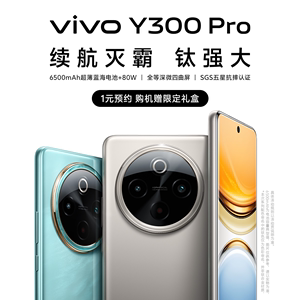 【12期免息 8G版本享现货】vivo Y300 Pro 新品大电池80W闪充全等深微四曲屏大内存学生手机官网正品y300pro