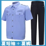 Подлинные общественные волосы летние дежурные коротки