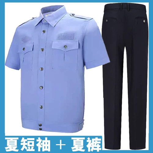 Подлинные общественные волосы летние дежурные коротки