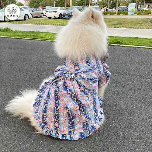 Домашние собаки в осенней и зимней одежде в крупных самовых золотых мосо лабрадо Хициник Four Seasons Common Cotton Clothing