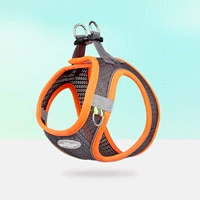 Серый апельсин [одиночный ремешок без шнура] [не экономически эффективно]