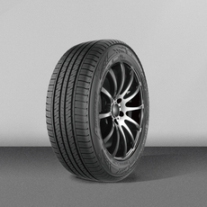 Шины 安捷斯达/anjestar dh09 215/55r17