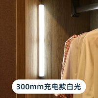 Рафинированное алюминиевое ярко -серебро [1 установка] [300 мм белый свет] Индукция+магнитная всасывание+USB -линия