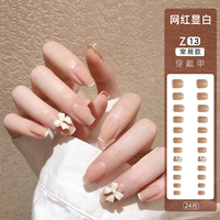 Z13