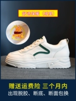 Майкл (Велла)