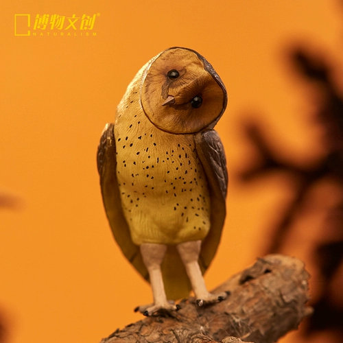 Фильм культурный творческий натуральный модельный модельный модельный