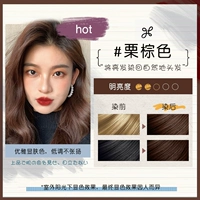 Цвет однокомбной [грудь коричневый] покрывает белые волосы 500 мл больших возможностей