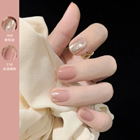 51#Iced Nude Powder+46#Gold Champagne Gold