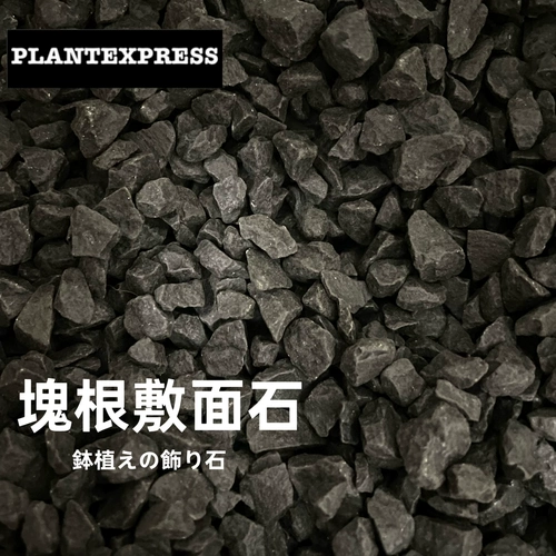 Соседство блокирует растения черная бумага, сделайте изготовление песчаного гипсокартона камень