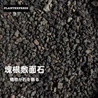 Черный вулканический камень 500G