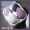 Пурпурный картофель с чистым макияжем яйцо 4 + кронштейн - коробка для доставки