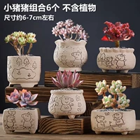 6 Piglet Commity Pots