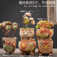 5 красочных комбинаций цветов 5