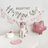 Товары от BIGGIFT PET 宠物装扮店